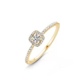 Flash Sale One More salina