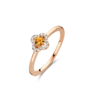 Flash Sale One More salina